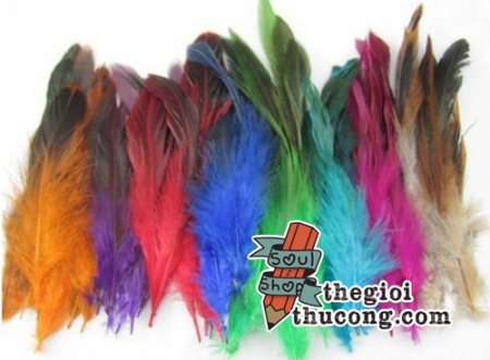 Lông vũ lọai mềm 2 màu