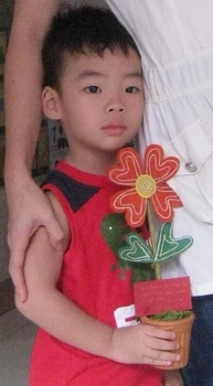 Bông hoa cho cu Sóc nhân ngày 20-11