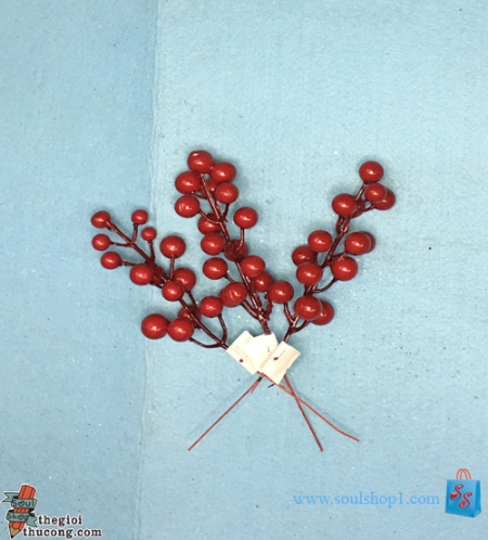 Trái đỏ trang trí