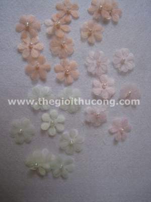 Hoa vải màu nhạt