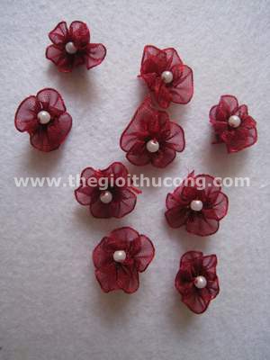 Hoa vải đỏ nhụy cườm