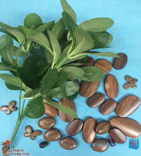  Các loại hạt gỗ