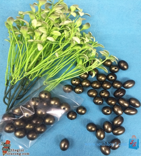 Các loại hạt nhựa 4 kiểu tròn-bầu dục-cà na-tròn dẹp