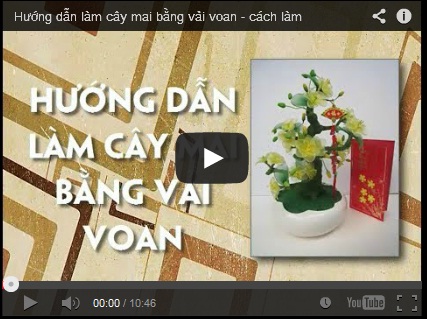 Clip làm cây hoa mai bằng vải voan
