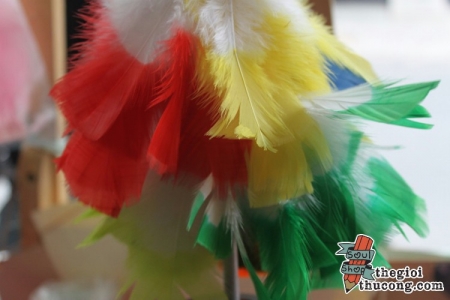 Lông vũ 2 màu chữ nhật