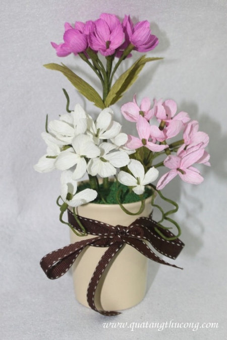chậu hoa cẩm tú cầu giấy nhún