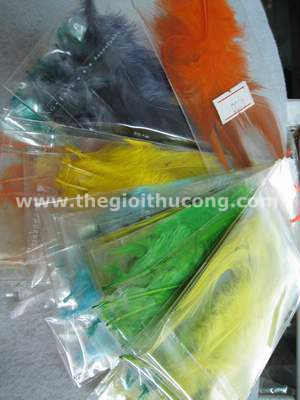 Lông vũ lọai mềm