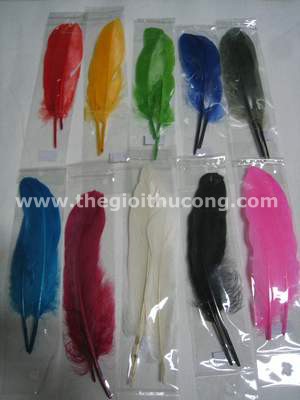 Lông vũ lọai cứng làm dreamcatcher