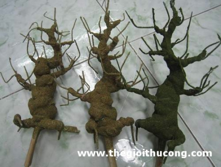 Thân cây mai làm hoa voan