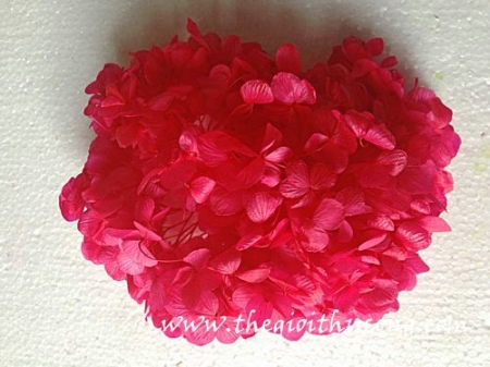 Hoa cẩm tú cầu sấy khô