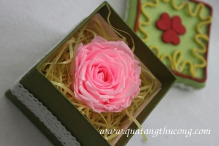 Hộp hoa hồng thơm ngát 