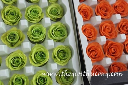 Hoa hồng sấy khô theo công nghệ Nhật Bản