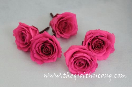 Hoa hồng sấy khô 04