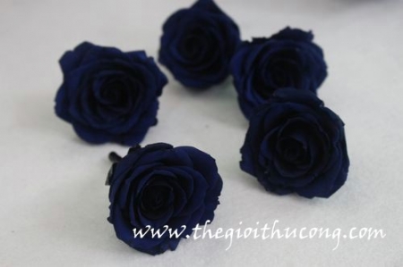 Hoa hồng sấy khô 07