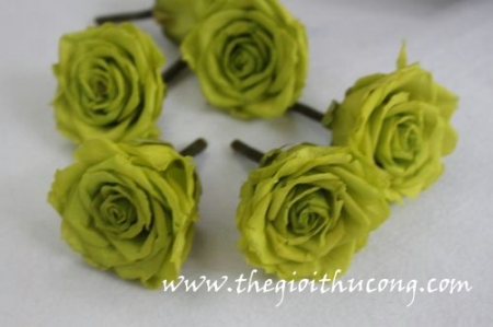 Hoa hồng sấy khô 31