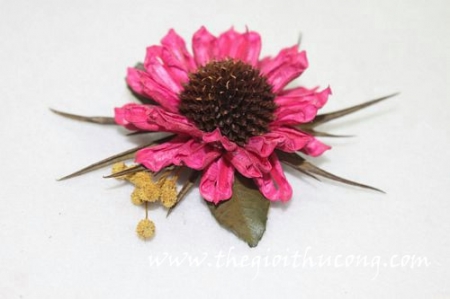 Hoa khô cài áo hồng