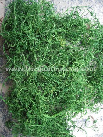 Cỏ khô màu xanh 