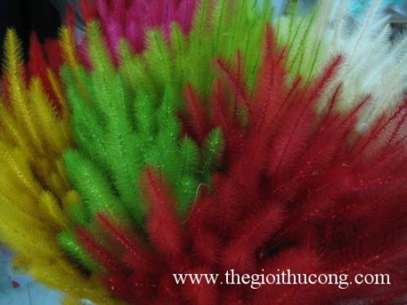 Cỏ đuôi chồn các màu 