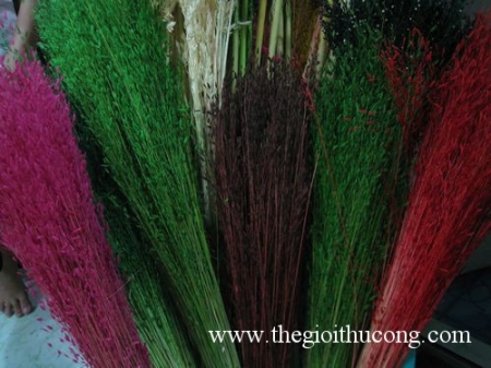 Cỏ lúa các màu