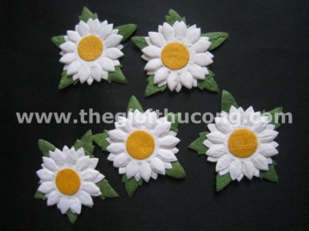 hoa giấy cúc trắng