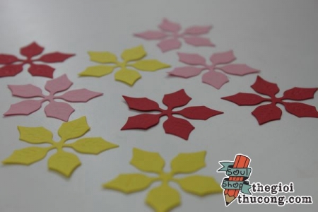 Giấy hình hoa trạng nguyên