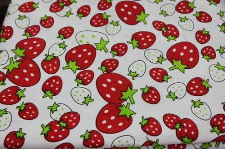 Vải bố, vải canvas 15