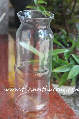 Lọ thuỷ tinh trúc cao S9