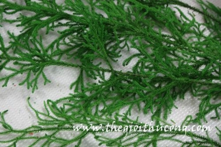 Rong đá sấy khô